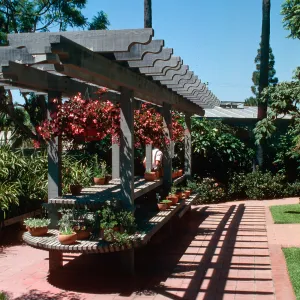 Sherman Library & Gardens, trellis