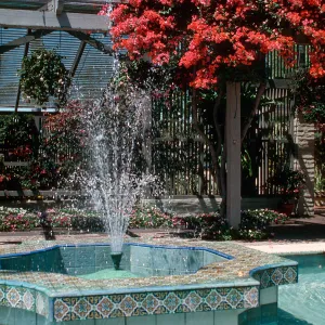 Sherman Library & Gardens, fountain