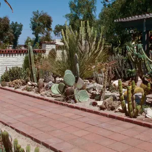 Sherman Library & Gardens