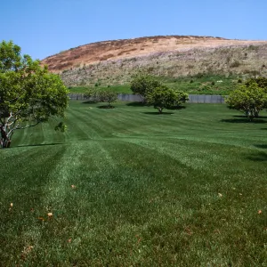 Wateridge Gardens