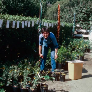 Fall plant sale, Carol Bornstein