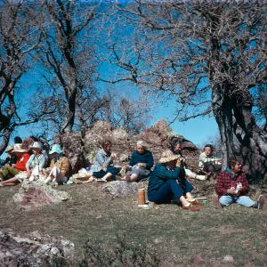 botanical foray, Figueroa