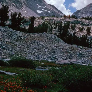 Rock Creek, 1994
