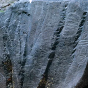 Field Trip, Big & Little Petroglyph Canyons