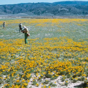 Field Trip 1969