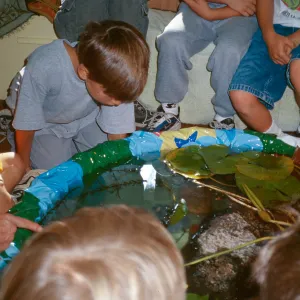 School Classroom Pond/Monte Vista Elementary, Master Gardener Volunteer Slide Show