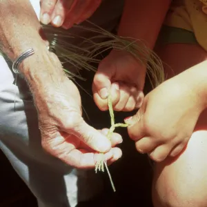 SBBG Summer Camp, Master Gardener Volunteer Slide Show, duplicate