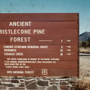 Road sign, Trip to Ancient Bristlecone Forest, Inyo National Forest w/Neil Muller, 1960-68