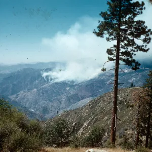 Fire, Santa Barbara Botanic Garden trip, Sequoia National Park, 1961