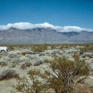 Larrea/Ambrosia, cloud-topped Providence Mountains and desert shrubs from Mitchells-Cima Road junction, San Bernardino County