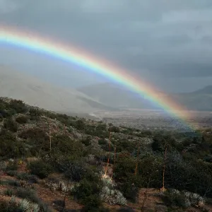 Anza-Borrego