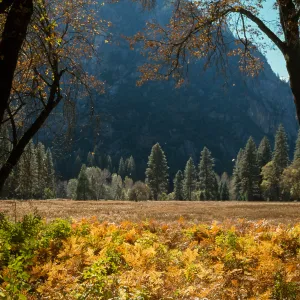 Yosemite Valley
