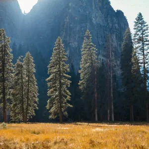 Yosemite Valley