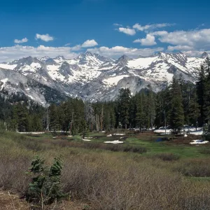 Sequoia National Park