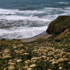 Mendocino coast