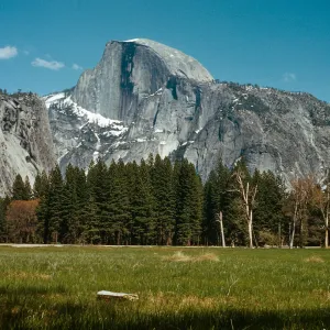 Half Dome, from meadow near Government Center, Yosemite Valley, Mariposa County