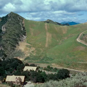 Woodland/Sage Scrub/Grassland (soil contact), Hollister Ranch, Santa Barbara County
