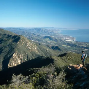 chaparral, Cold Springs Trail ?, Santa Ynez Mountains
