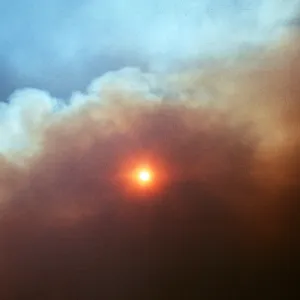 Coyote fire