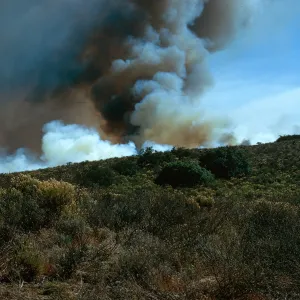 Prescribed burn, Coastal Sage Scrub, Santa Barbara County