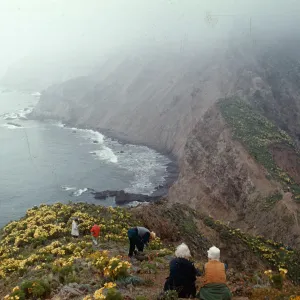 Sierra Clubbers, ridge, West San Anacapa Island