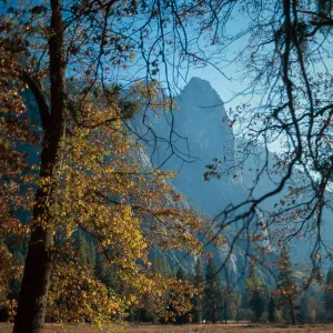 Yosemite National Park