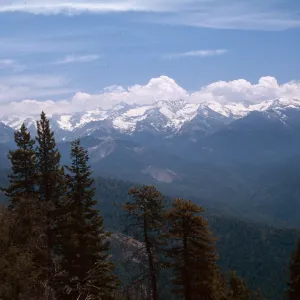 Sequoia National Park, Sierra Nevada