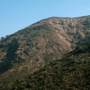 Cleveland National Forest Variation of Site Calochortus weedii Habitat