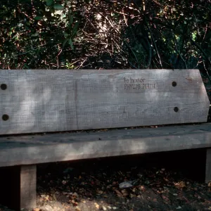 Pettit Bench (Bench #10)