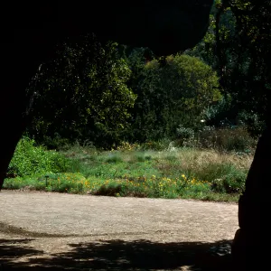 Meadow framed by oak and boulder