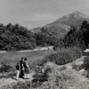 Family viewing the Meadow